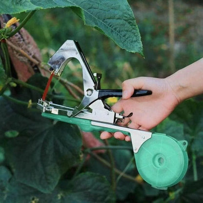 Accesorio innovador para plantas