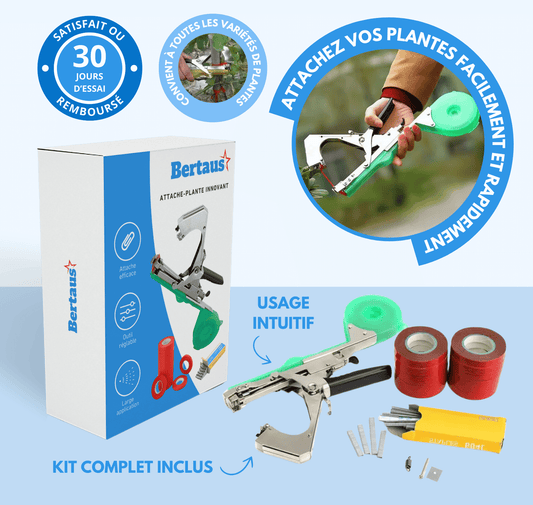 Accesorio innovador para plantas